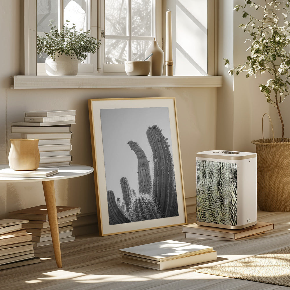 Cactus Poster